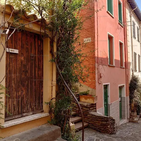 4terimp-a02 T3 Neuf Avec Terrasse Climatisation Parking Collioure
